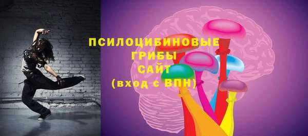ПСИЛОЦИБИНОВЫЕ ГРИБЫ Белоозёрский