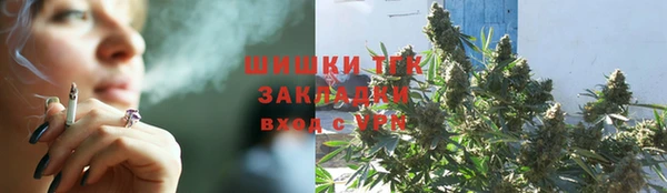 шишки Беломорск
