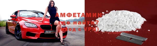 шишки Беломорск