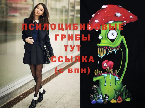 ПСИЛОЦИБИНОВЫЕ ГРИБЫ Белоозёрский