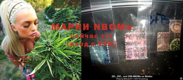 ПСИЛОЦИБИНОВЫЕ ГРИБЫ Белоозёрский