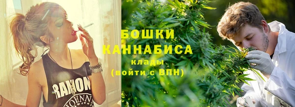 шишки Беломорск