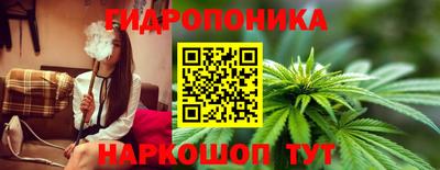 индика Ачхой-Мартан