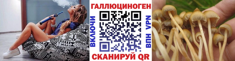 мориарти формула  Великий Устюг  Галлюциногенные грибы мухоморы 