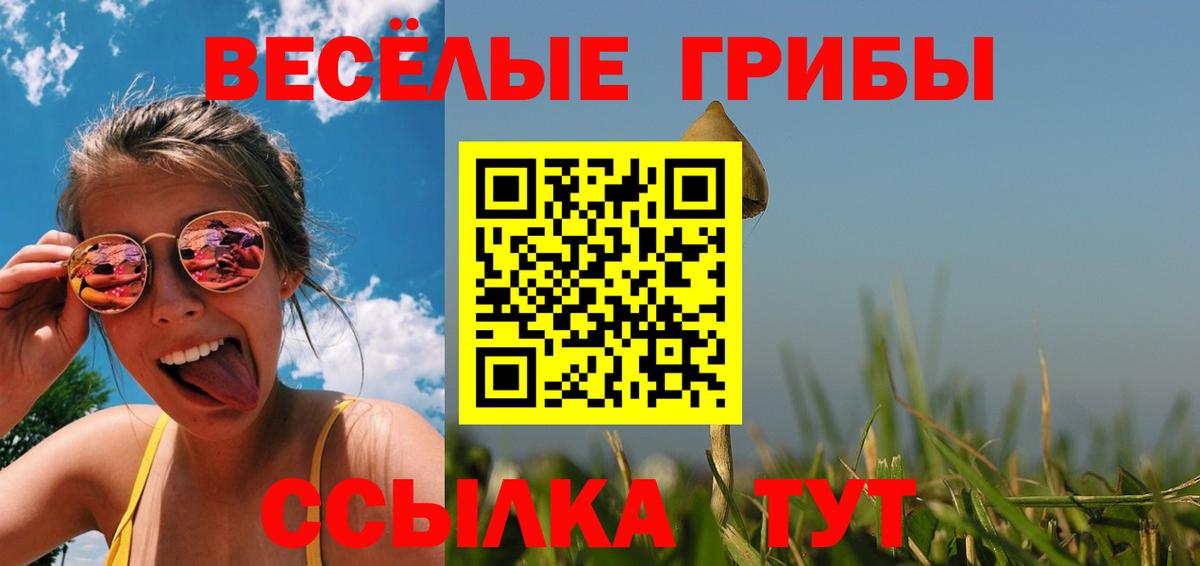 Псилоцибиновые грибы прущие грибы  Вход с VPN  Великий Устюг  Псилоцибиновые грибы мухоморы 